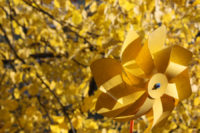 Goldener Herbst