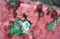 Rot-Grün