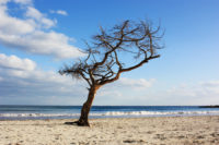 Sa Coma im Winter