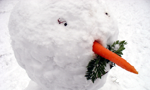 Schneemann Berlin Möhre 2010