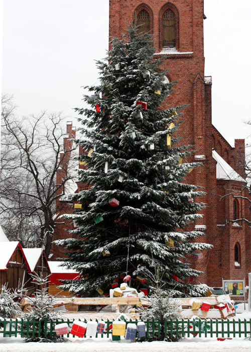 Warnmünner Wiehnachtstied Weihnachtsbaum Kirchenplatz 2010 Warnmünner Wiehnachtstied Weihnachtsbaum Kirchenplatz 2010