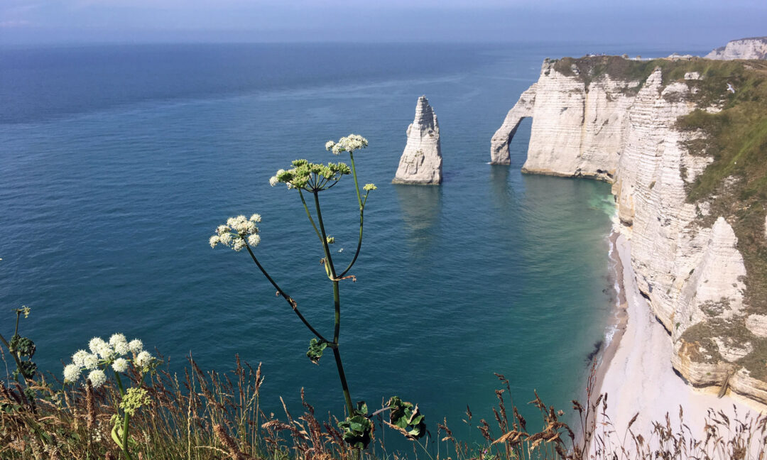 Küste in Étretat