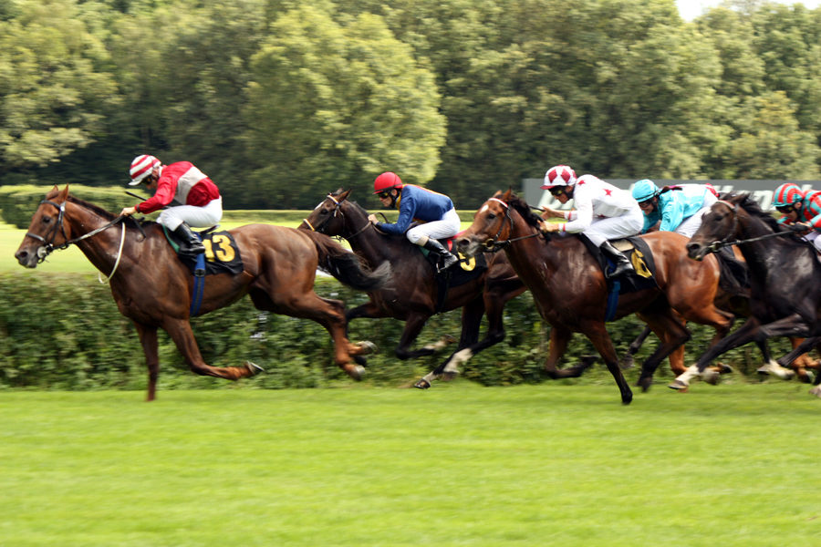 122. Großer Preis von Berlin Galopprennbahn Hoppegarten 2012