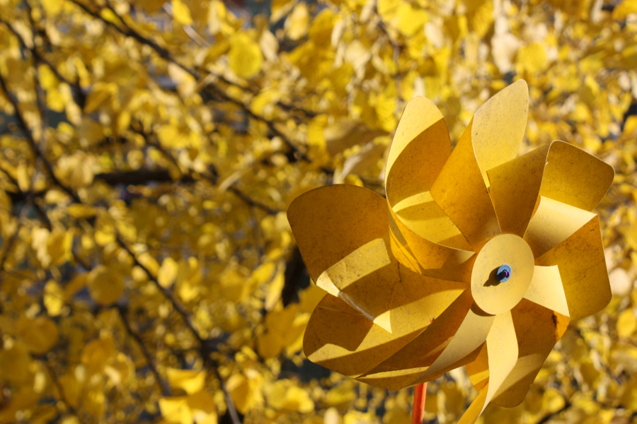 Goldener Herbst Gelb Windrad Blätter Berlin 2011