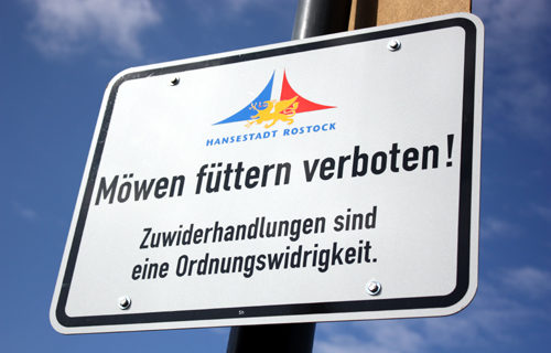 Möwen füttern verboten 2009