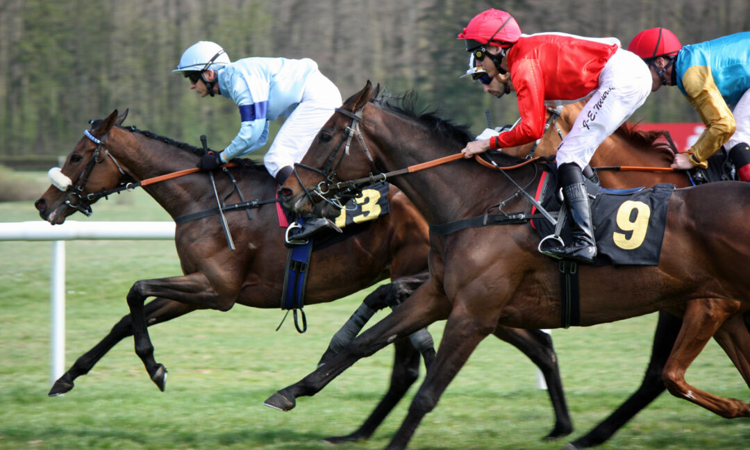 Pferdesport auf der Rennbahn Hoppegarten