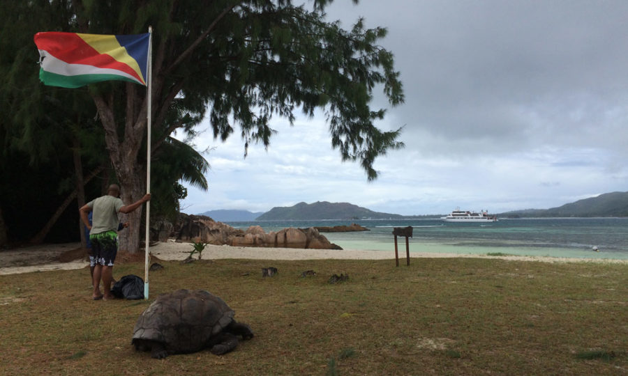 Riesenschildkröte auf Curieuse, Seychellen