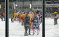 Wellblechpalast Eisbären Berlin DEG Halbfinale DEL 2008